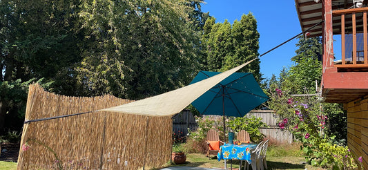 Secure Your Adventures: How Rugtol Heavy-Duty Bungee Cords Elevate Outdoor Safety and Convenience